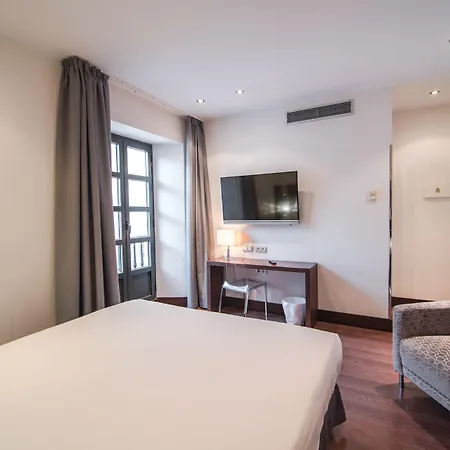 Hotel Petit Palace Marques Santa Ana