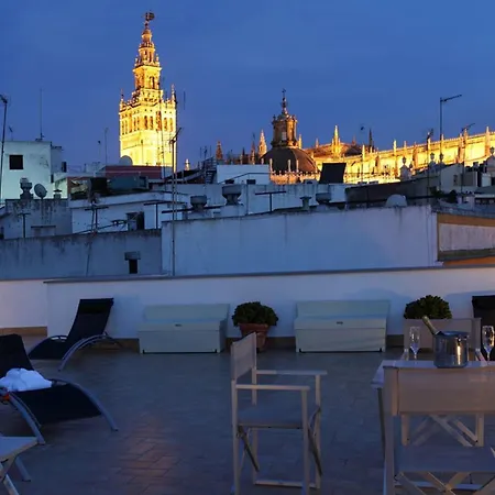 Petit Palace Marques Santa Ana Hotel 4*